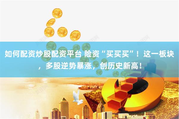 如何配资炒股配资平台 险资“买买买”！这一板块，多股逆势暴涨，创历史新高！