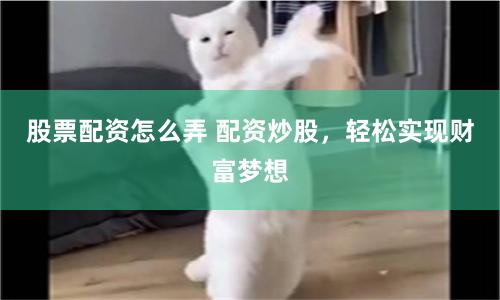股票配资怎么弄 配资炒股，轻松实现财富梦想