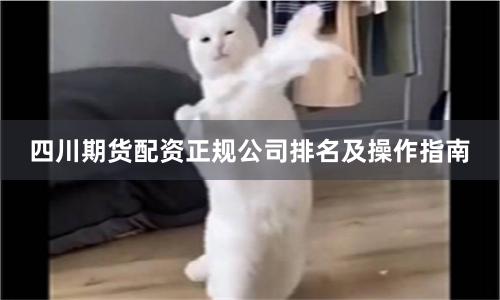 四川期货配资正规公司排名及操作指南