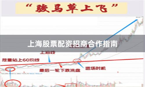 上海股票配资招商合作指南
